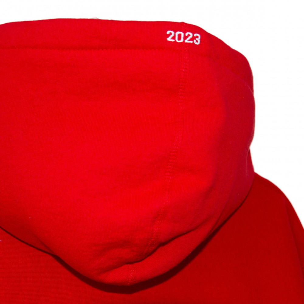 Supreme Box Logo Hoodie (Red)